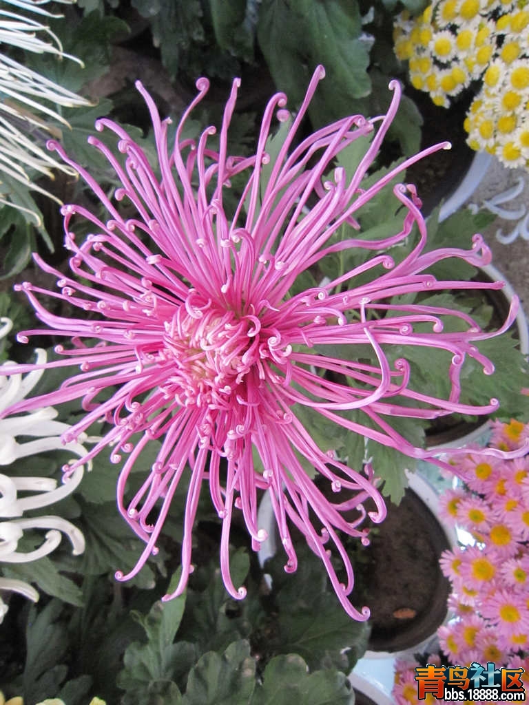 照片 546.jpg