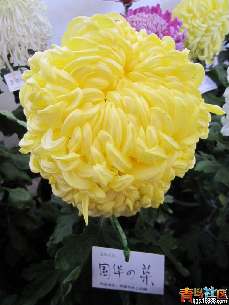 照片 528.jpg