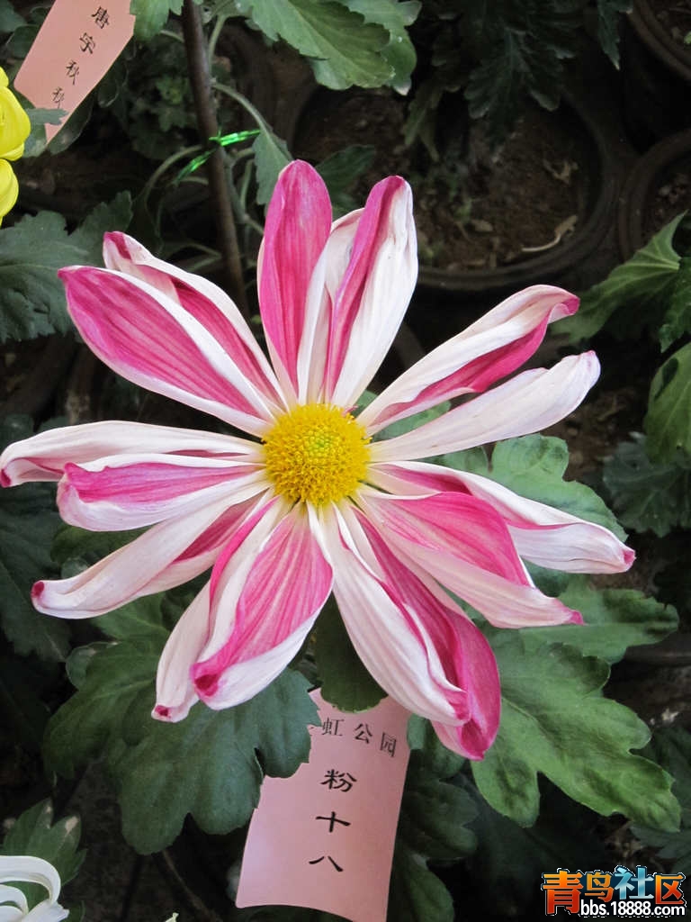 照片 570.jpg