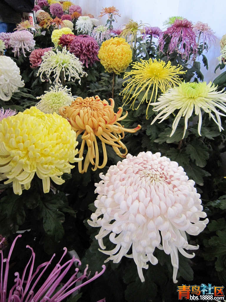 照片 550.jpg