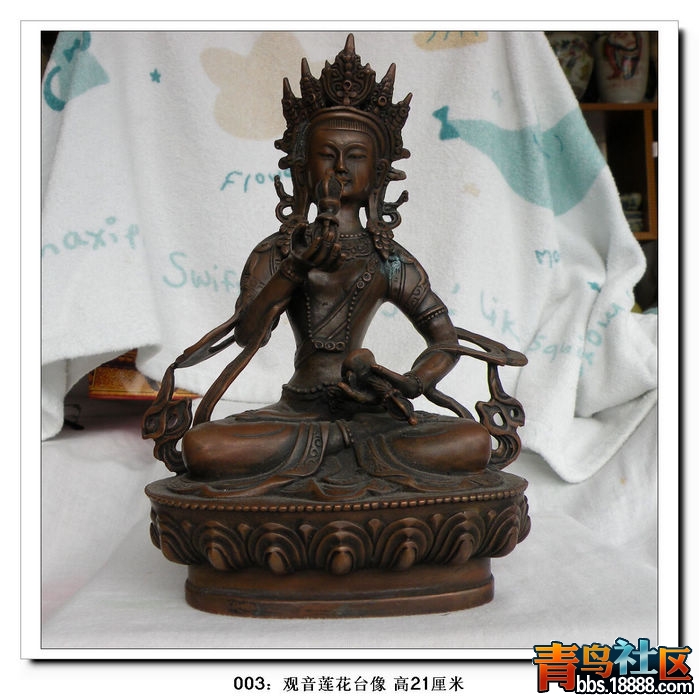 DSCN1348.jpg