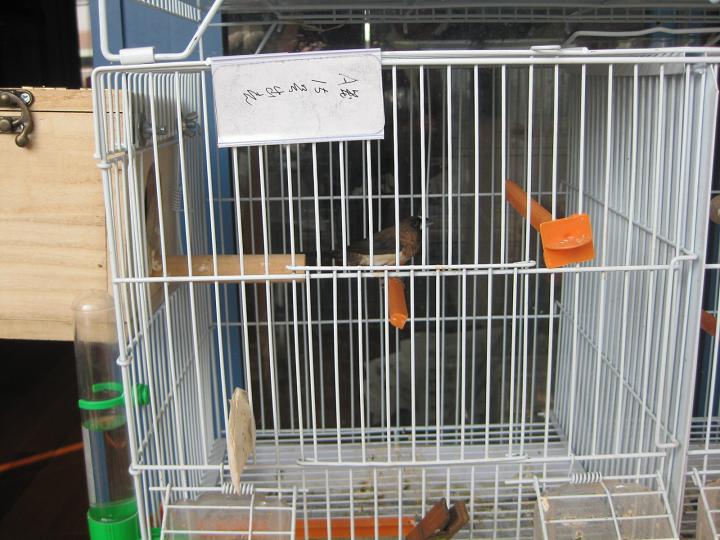 照片 010.jpg