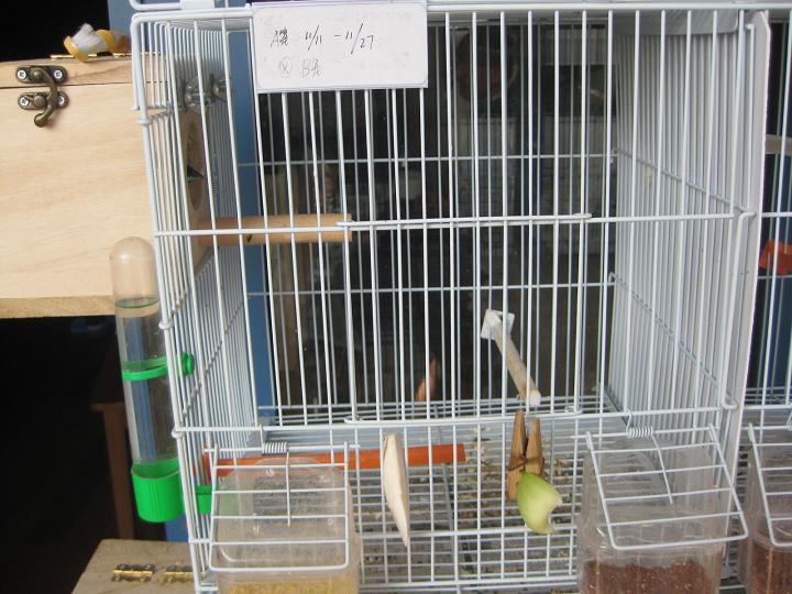 照片 006.jpg