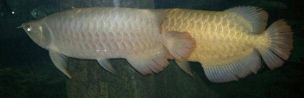 2012-10-14-1087-1.jpg