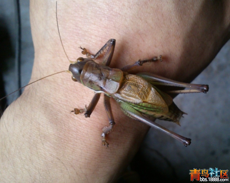 QQ截图20121112203728.jpg