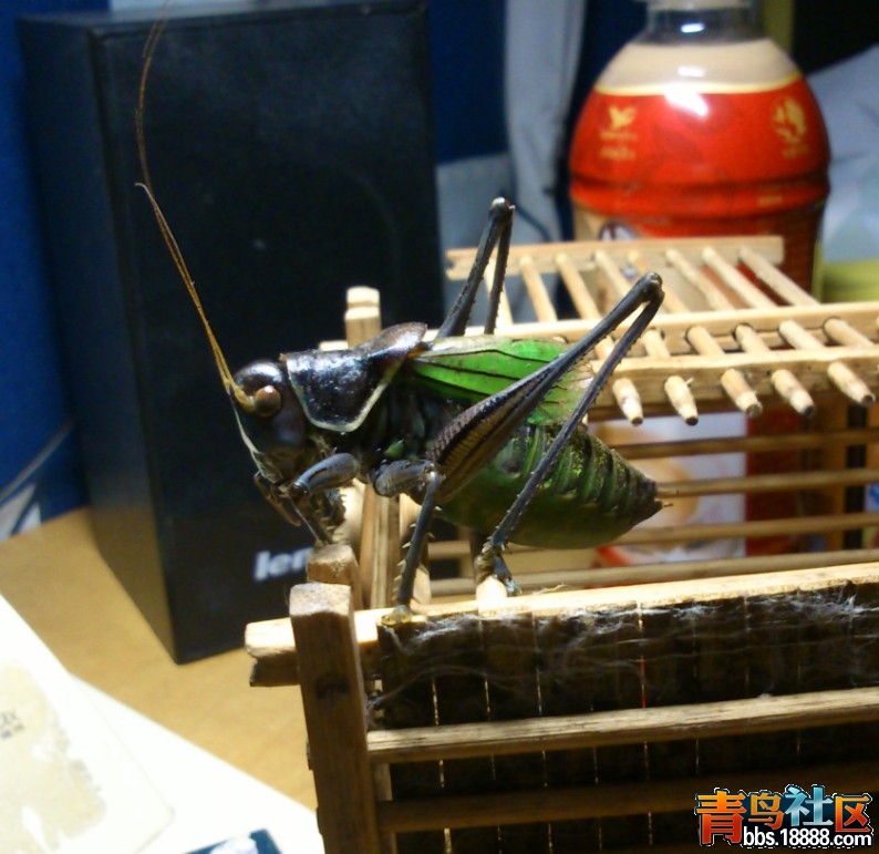 QQ截图20121112203839.jpg