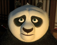 功夫熊猫.gif