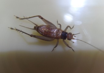 未命名13.jpg