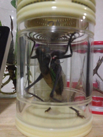 照片 082.jpg