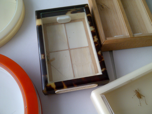 IMG-20121120-00085.jpg
