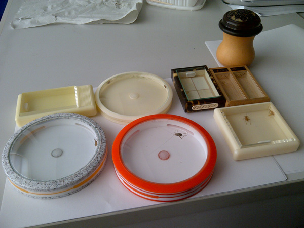 IMG-20121120-00083.jpg