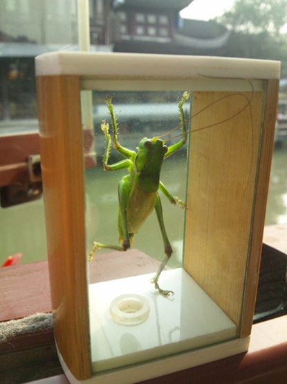 DSC_0078.JPG