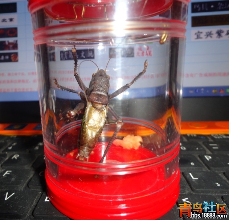未命名6.jpg