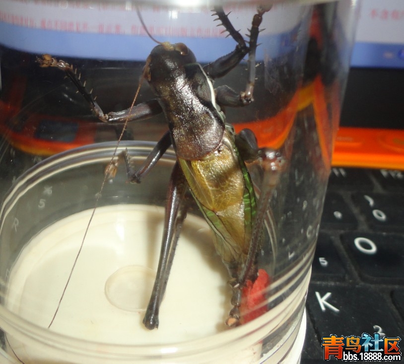 未命名1.jpg