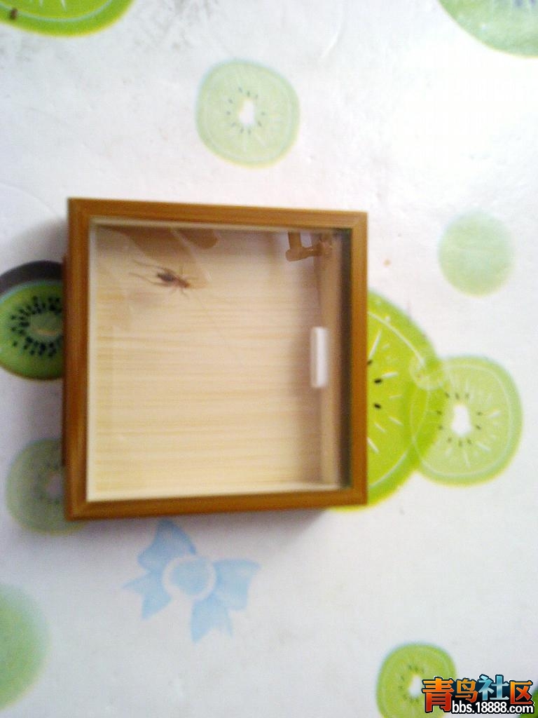 2012-10-02 13.01.53.jpg