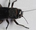 20110902041424393.jpg
