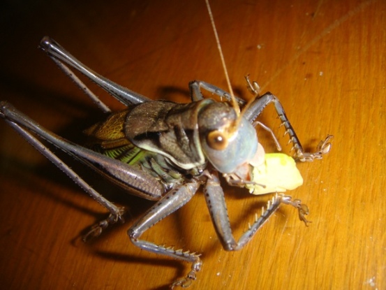 DSC07573.JPG