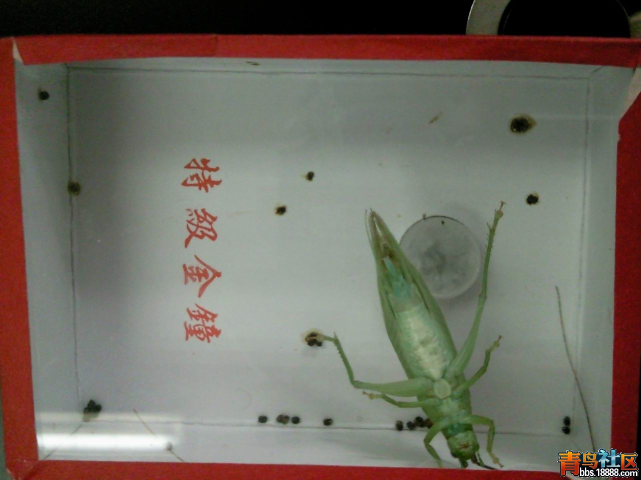 照片10.jpg