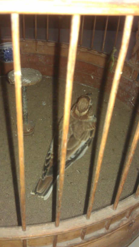 IMAG0024.jpg