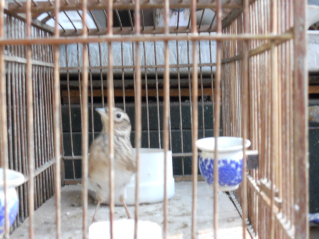 DSCN0240.jpg