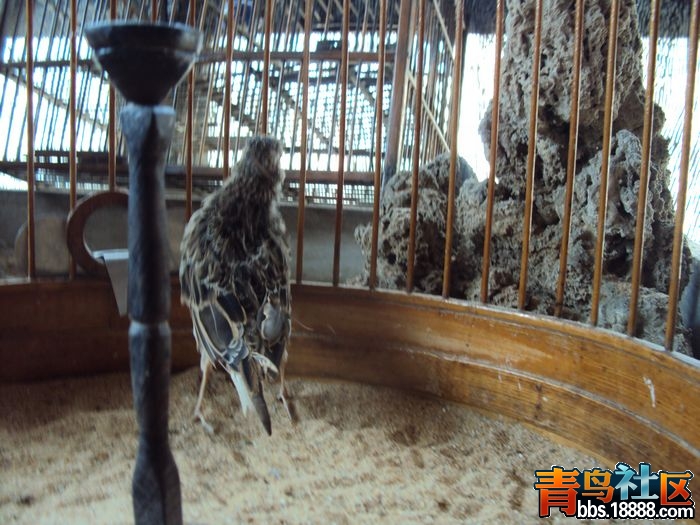 照片 我的照片3 433.jpg