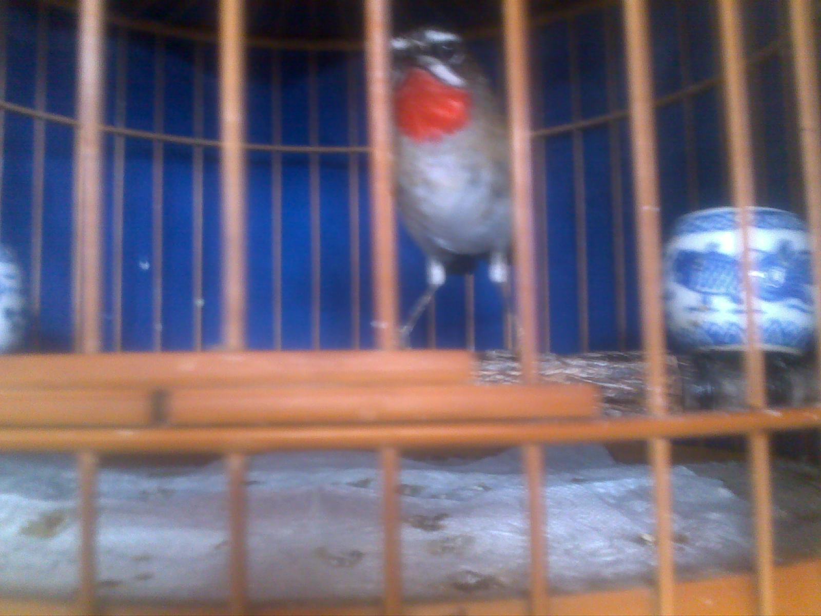 20121123559.jpg