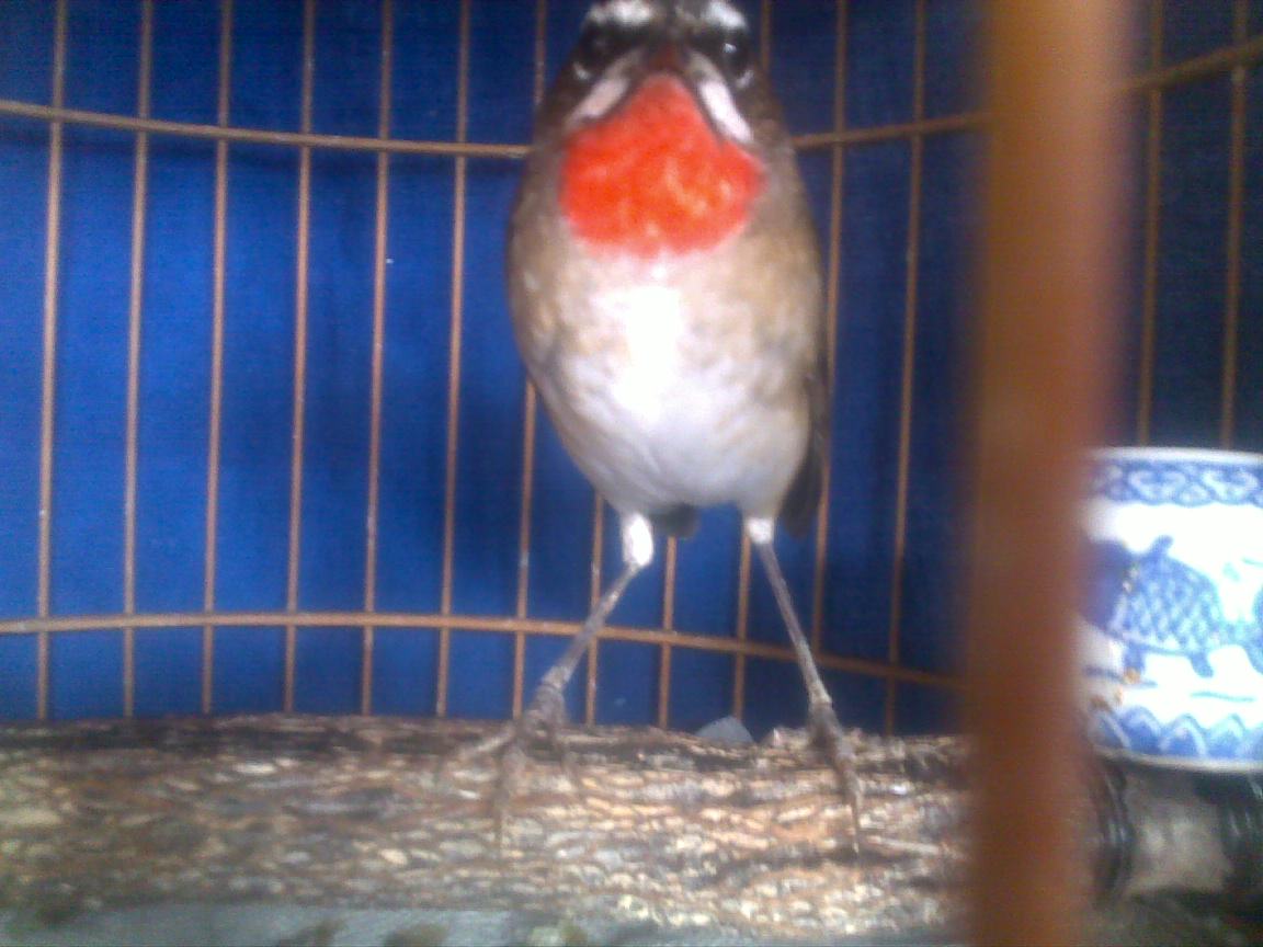 20121123564.jpg
