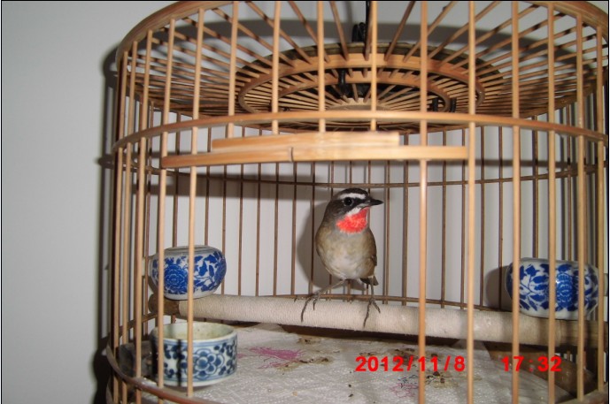 3L9PEOZW~(WLGUO`}]$L41Z.jpg