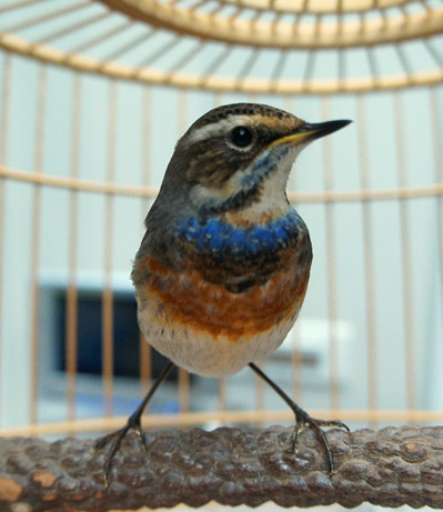 DSC00787_副本.jpg
