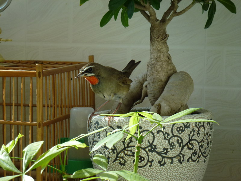 P1000869_调整大小.JPG