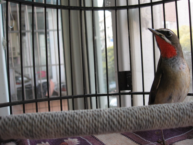 2012-11-19 017.jpg