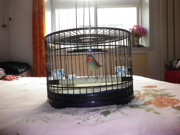 IMGP2121.JPG
