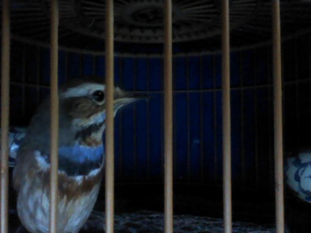 照片 021.jpg