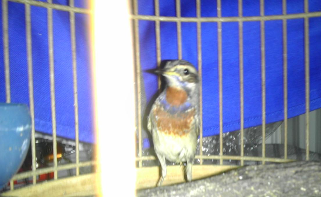 IMAG0725.jpg
