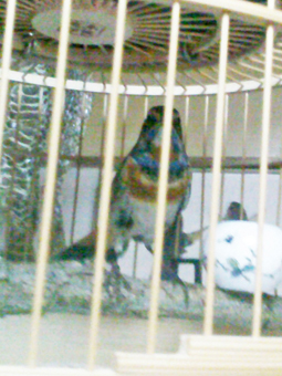201211092694.jpg
