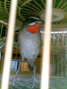 201211082662.jpg