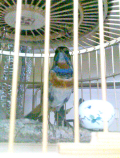 201211092692.jpg