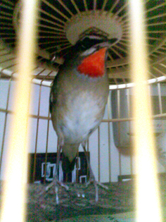 201211082665.jpg