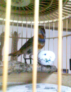 201211102710.jpg