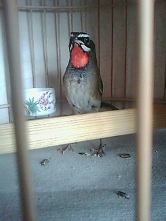 IMG0024A.jpg