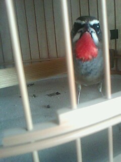 IMG0029A.jpg