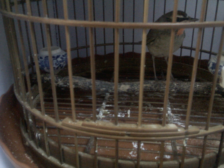 IMG_20121104_092422_副本.jpg