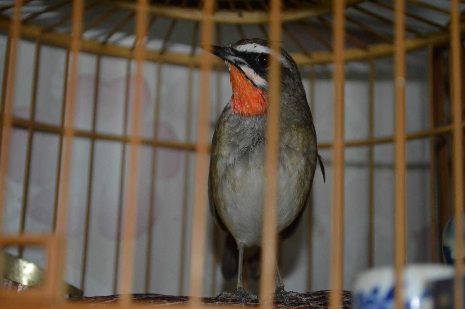 DSC_0003.jpg