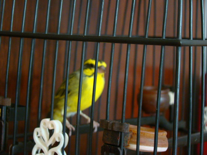 DSC02471.JPG