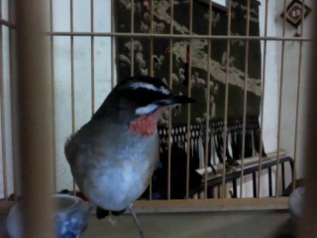 照片 016.jpg