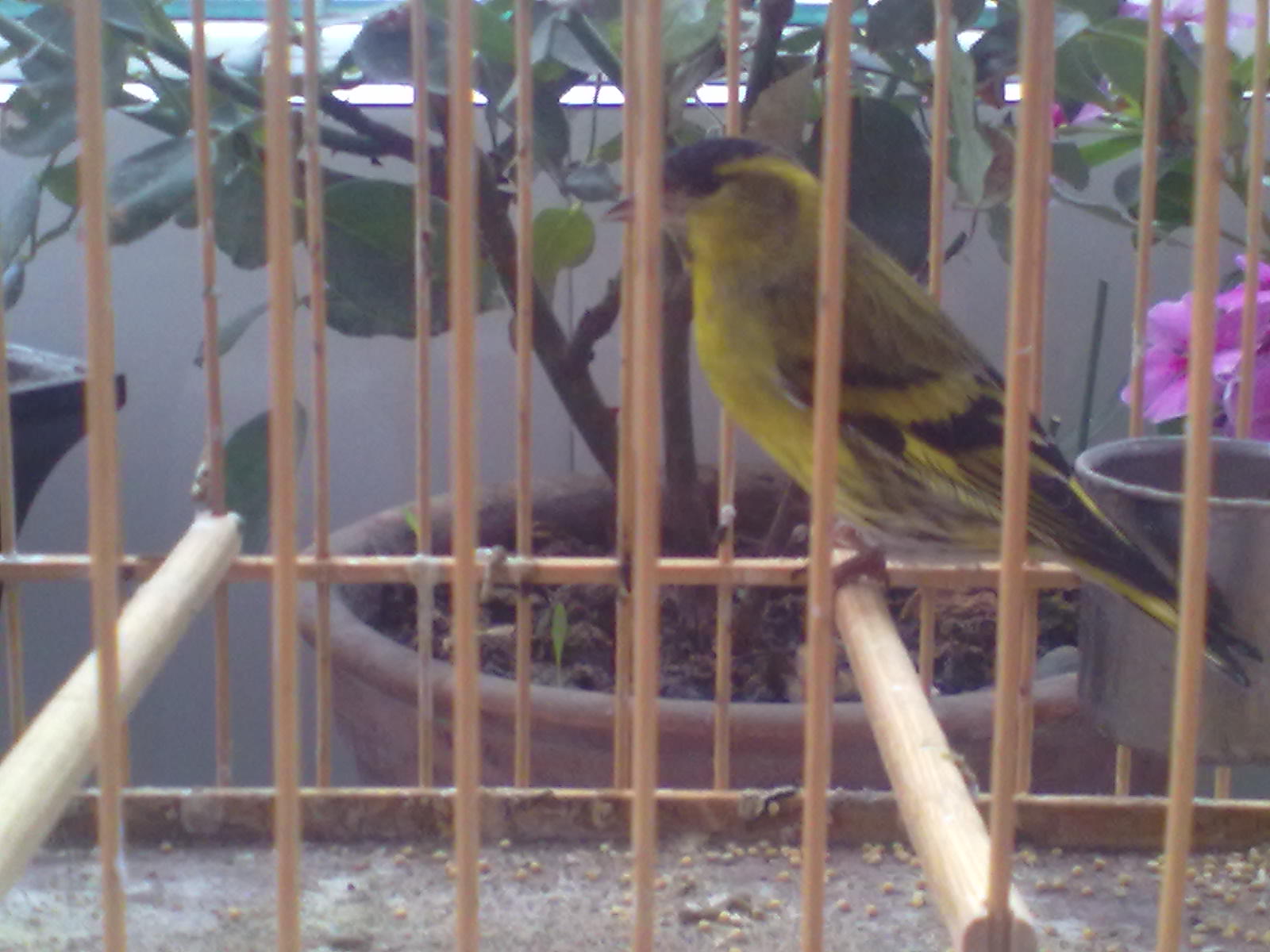 20121114473.jpg