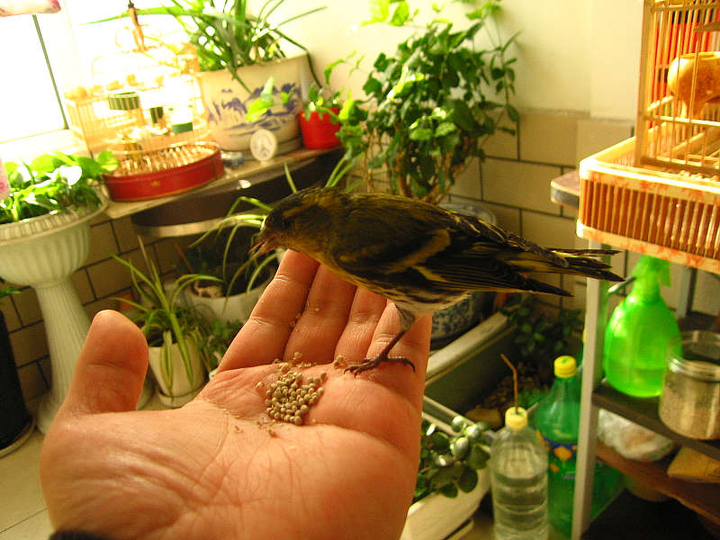 照片 033.jpg