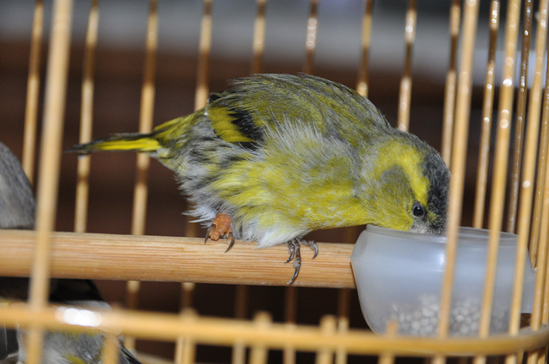 DSC_6581_副本.jpg