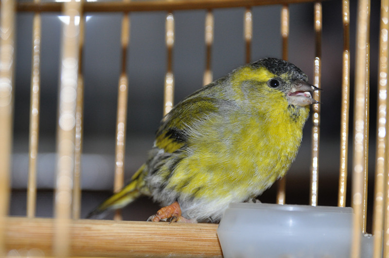 DSC_6576_副本.jpg