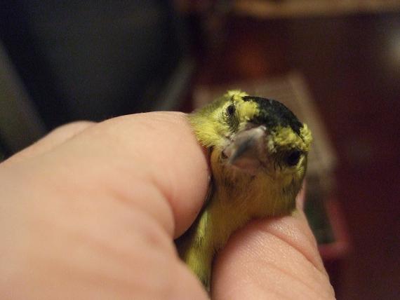 DSCF7956.jpg